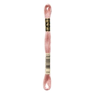 DMC Mouline Special Sticktwist 0224