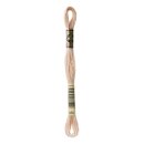 DMC Mouline Special Sticktwist 0950