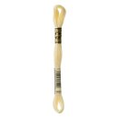 DMC Mouline Special Sticktwist 3823