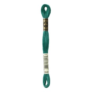 DMC Mouline Special Sticktwist 3848
