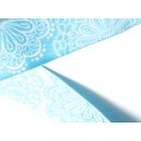 Farbenmix Webband SpitzenWerk hellblau-weiß