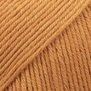 Safran [Uni] kürbis (67)