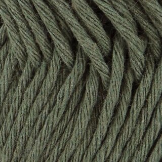 PARAMARIBO PALM (SC06)