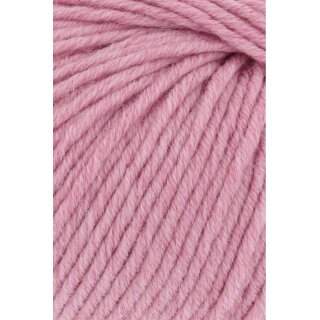 ROSA MÈLANGE (0148)