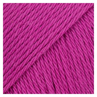 fuchsie (10)